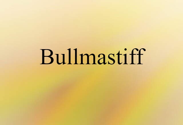 Bullmastiff (noun) Definition, Meaning & Examples