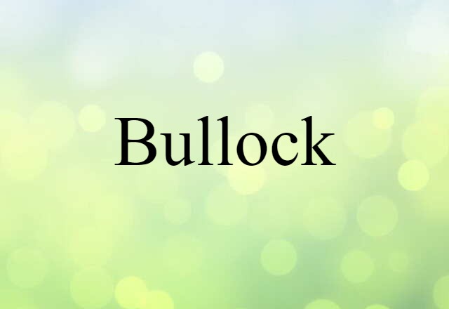 bullock