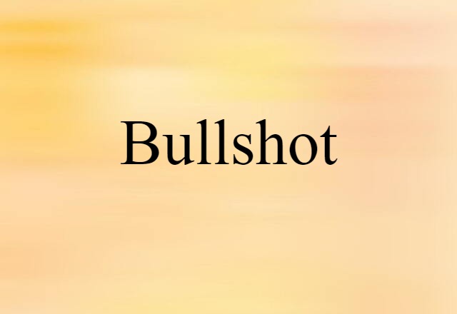 Bullshot (noun) Definition, Meaning & Examples