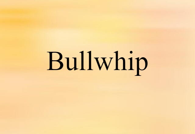 Bullwhip (noun) Definition, Meaning & Examples