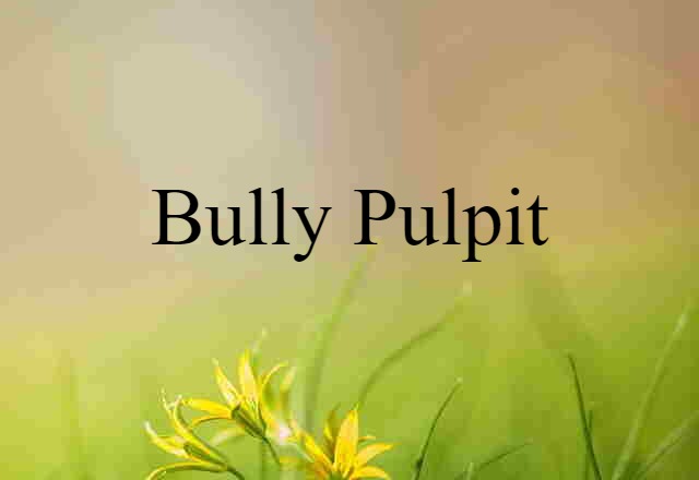 bully pulpit