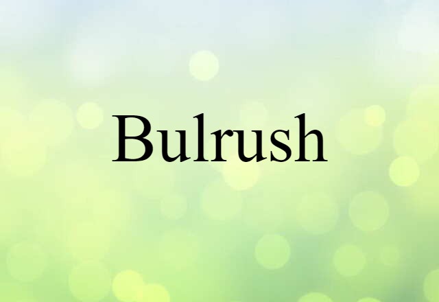 bulrush