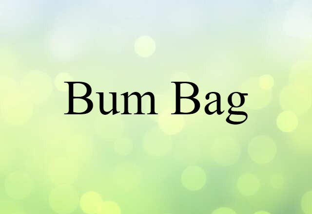 Bum Bag (noun) Definition, Meaning & Examples