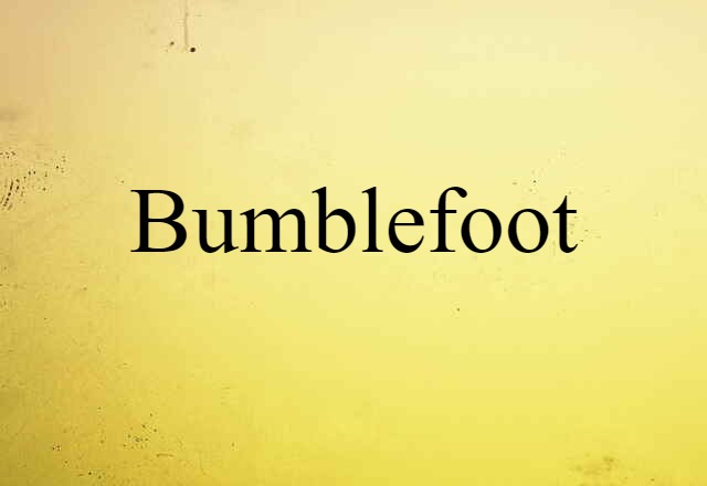 bumblefoot