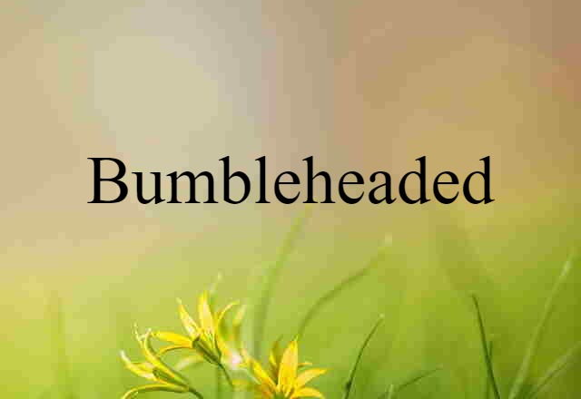 bumbleheaded