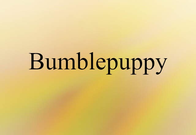 Bumblepuppy (noun) Definition, Meaning & Examples