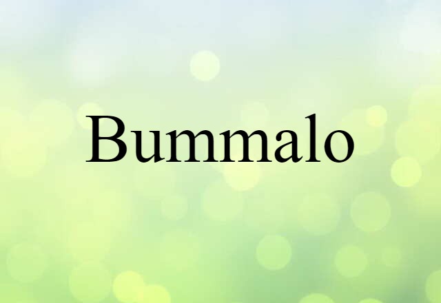 Bummalo (noun) Definition, Meaning & Examples