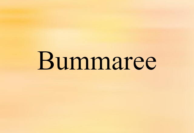 Bummaree (noun) Definition, Meaning & Examples