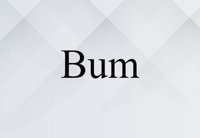 Bum (noun) Definition, Meaning & Examples