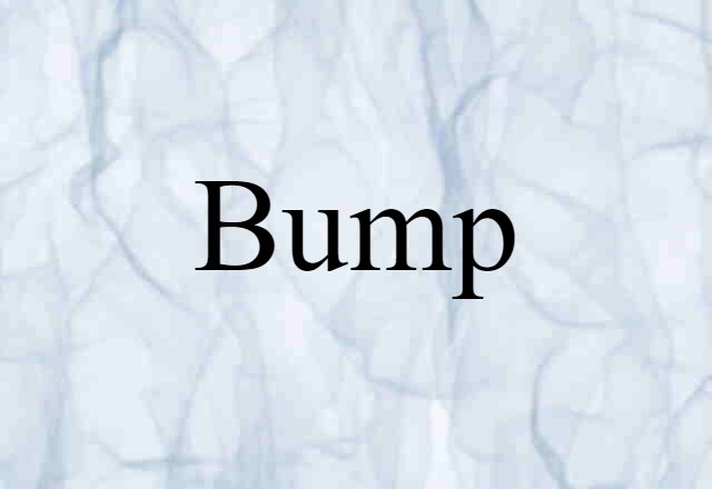 Bump (noun) Definition, Meaning & Examples