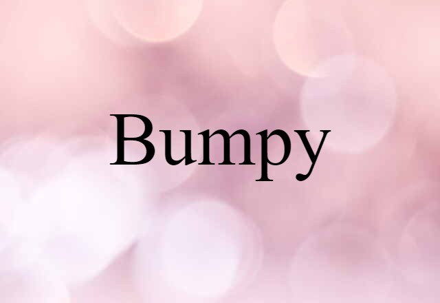 Bumpy (noun) Definition, Meaning & Examples