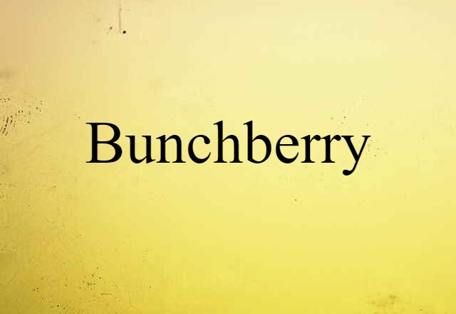 bunchberry