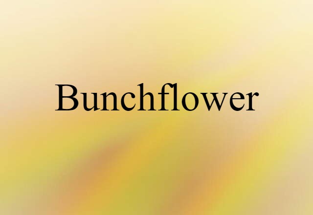 bunchflower