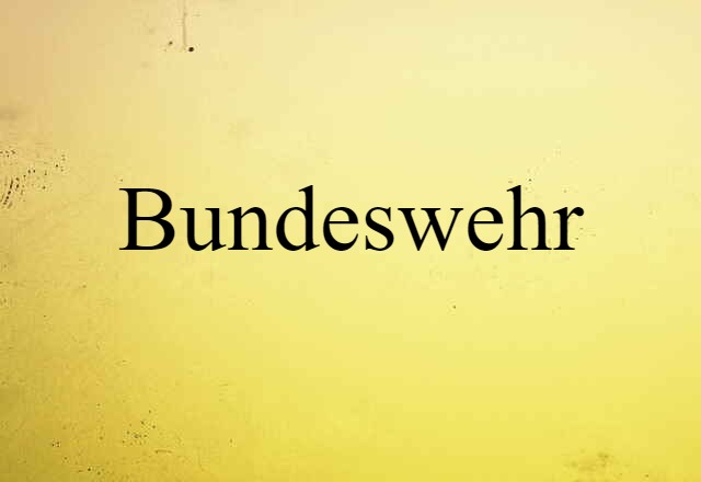 Bundeswehr (noun) Definition, Meaning & Examples