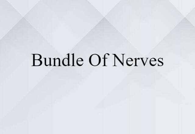 bundle of nerves