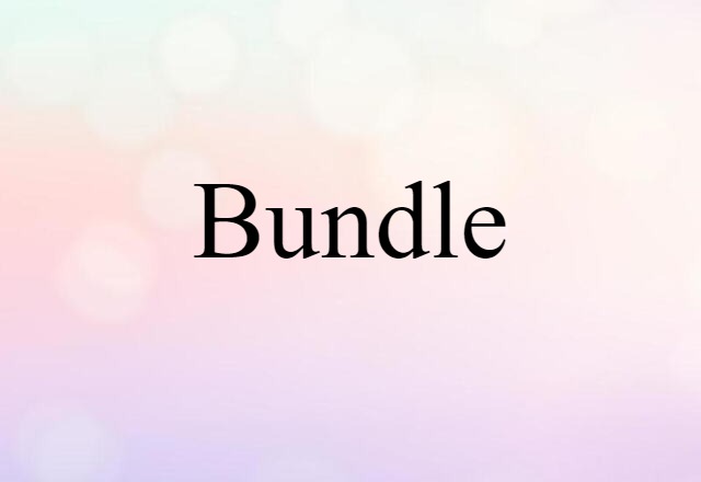 Bundle (noun) Definition, Meaning & Examples