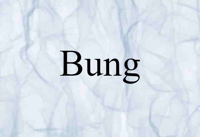 bung