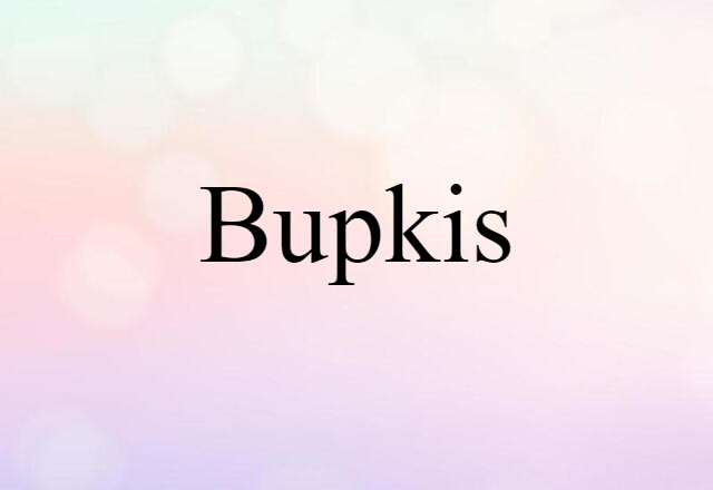 bupkis