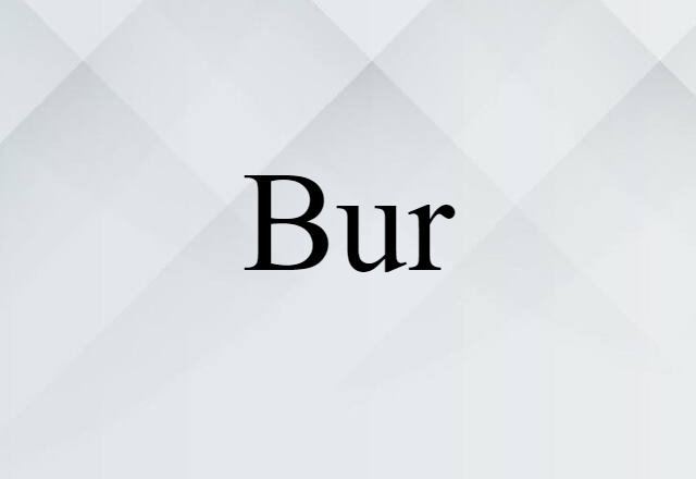 bur