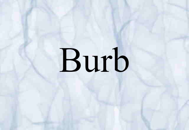 Burb (noun) Definition, Meaning & Examples