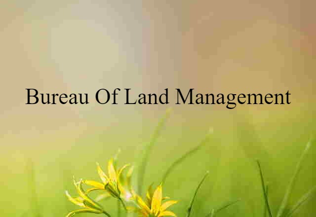 Bureau of Land Management