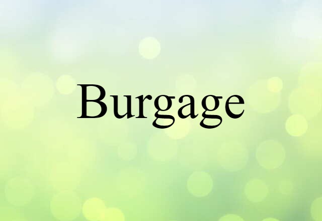 Burgage (noun) Definition, Meaning & Examples