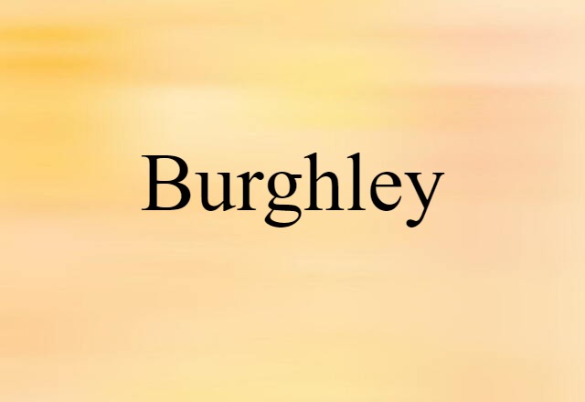 Burghley (noun) Definition, Meaning & Examples