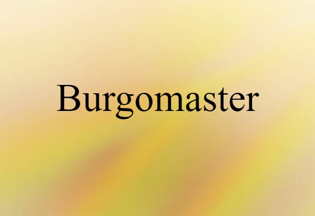 Burgomaster (noun) Definition, Meaning & Examples