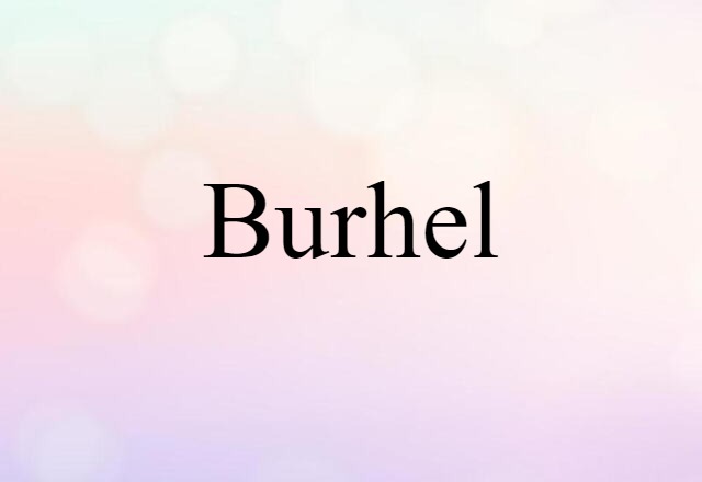 Burhel (noun) Definition, Meaning & Examples