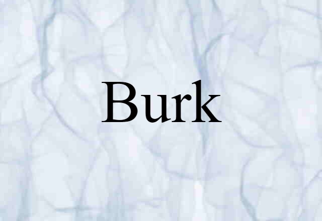 Burk (noun) Definition, Meaning & Examples