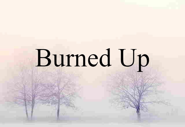 Burned Up (noun) Definition, Meaning & Examples