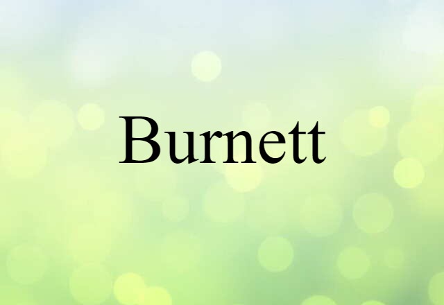 Burnett (noun) Definition, Meaning & Examples