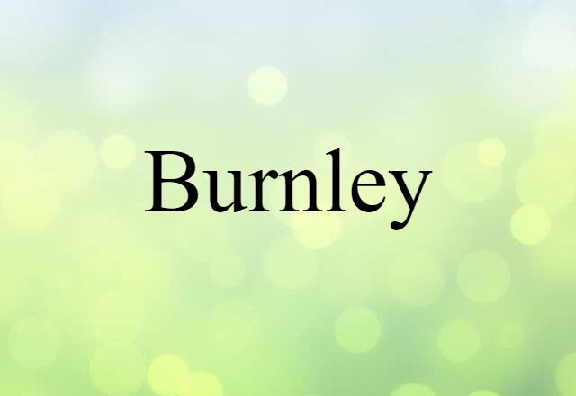 Burnley (noun) Definition, Meaning & Examples