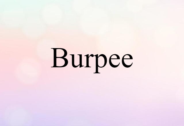 Burpee (noun) Definition, Meaning & Examples