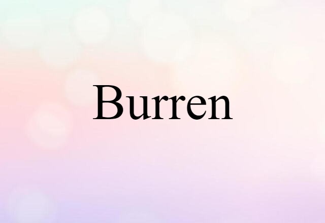 Burren (noun) Definition, Meaning & Examples