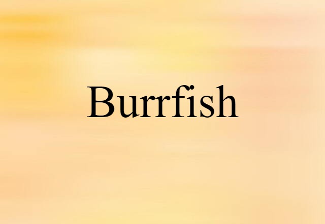 burrfish