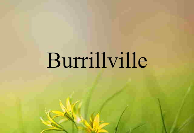 Burrillville (noun) Definition, Meaning & Examples