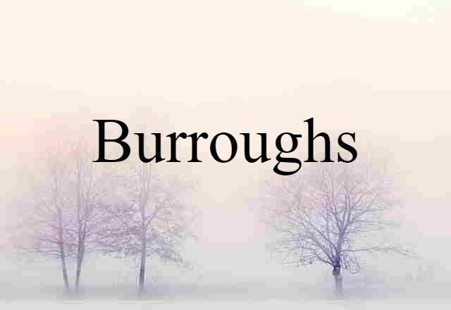 Burroughs (noun) Definition, Meaning & Examples