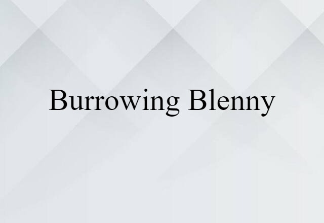 Burrowing Blenny (noun) Definition, Meaning & Examples