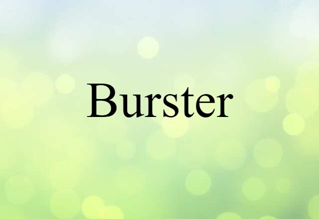 Burster (noun) Definition, Meaning & Examples