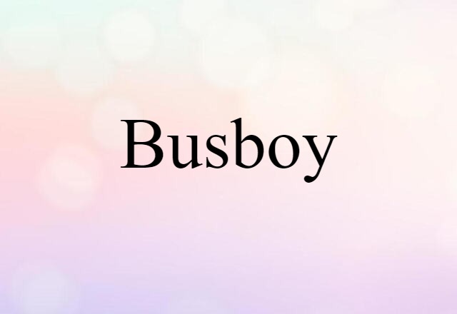 busboy