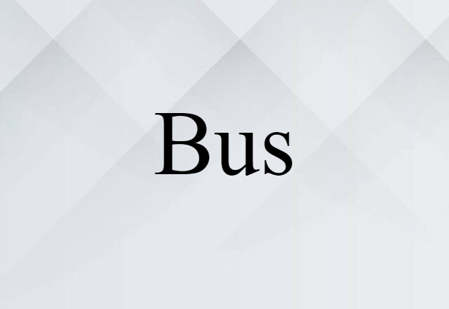 Bus (noun) Definition, Meaning & Examples