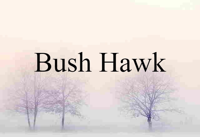 bush hawk