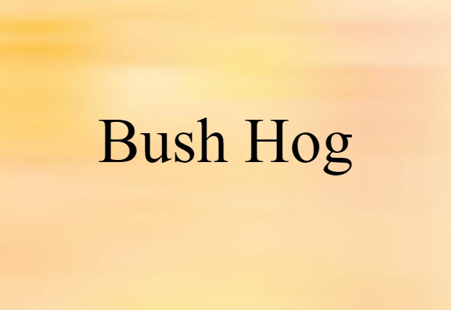 Bush Hog (noun) Definition, Meaning & Examples