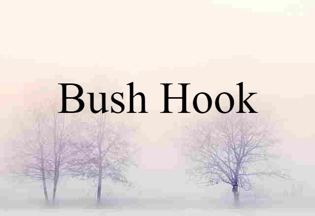 Bush Hook (noun) Definition, Meaning & Examples