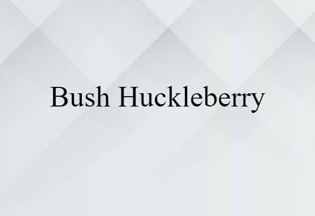 Bush Huckleberry (noun) Definition, Meaning & Examples