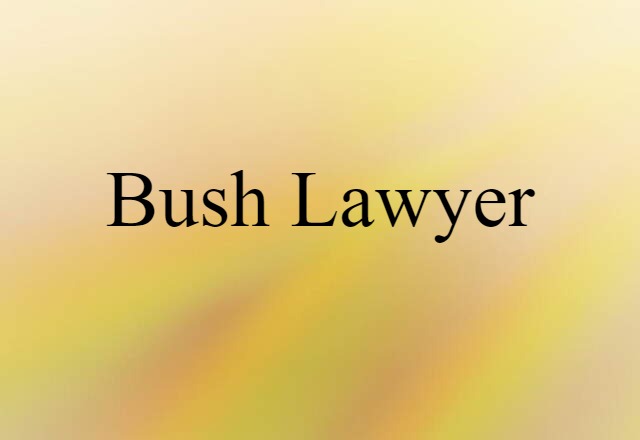 Bush Lawyer (noun) Definition, Meaning & Examples