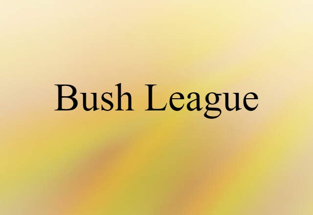 Bush League (noun) Definition, Meaning & Examples