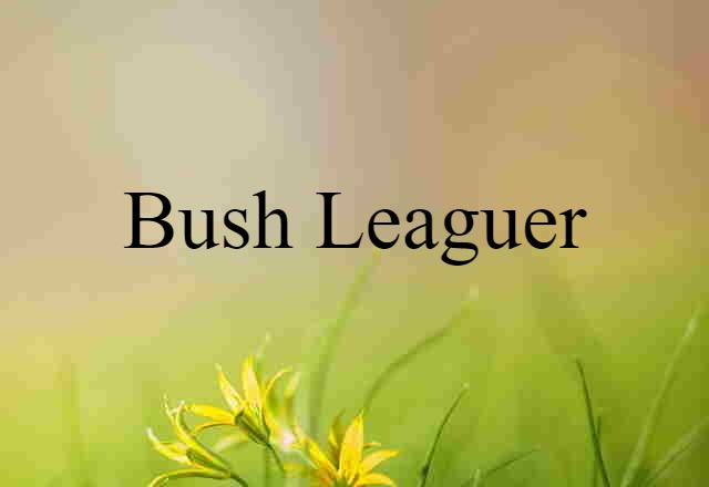 bush leaguer