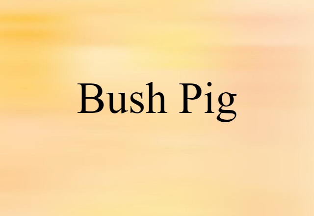 bush pig